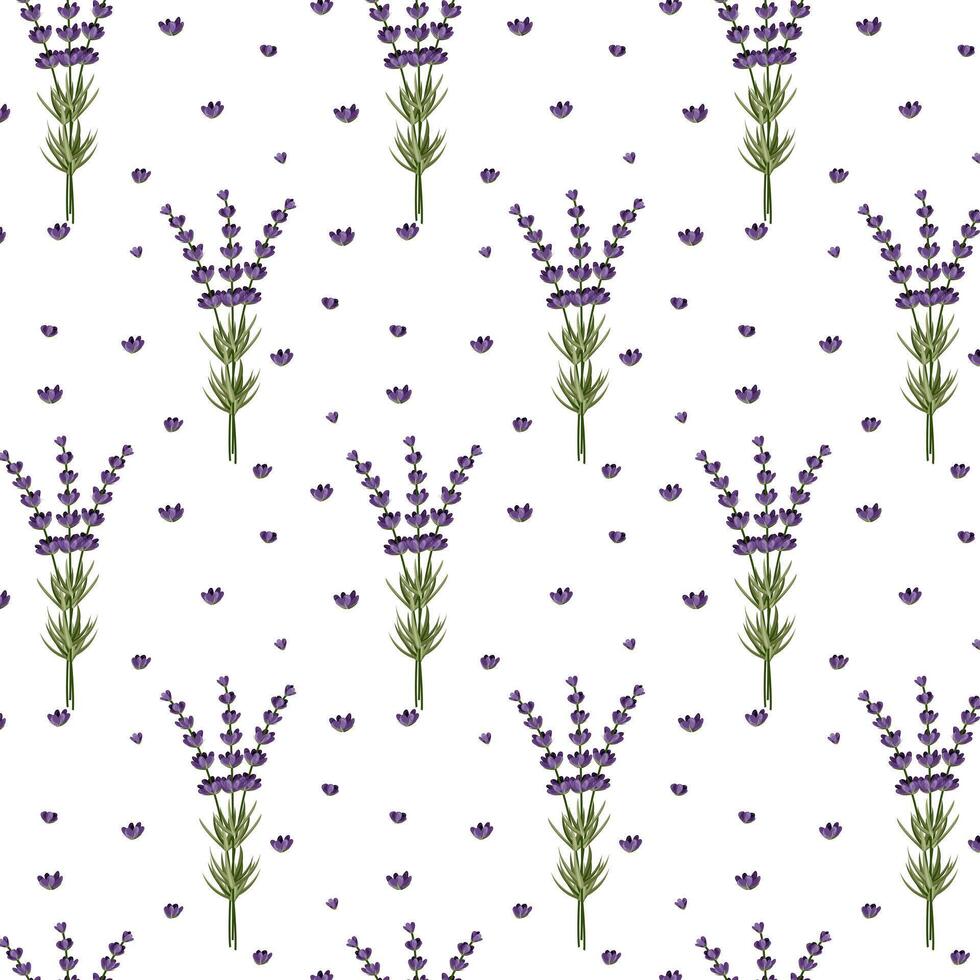 Seamless pattern of flowers and branches of lavender. For design cards, banners and patterns.Vector illustration vector