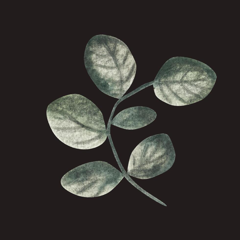 Green twig. Watercolor illustration. Isolated object vector