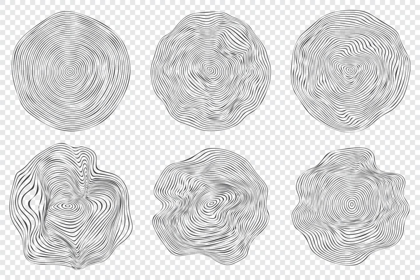 Wooden topography circles. Wood organic slice line design. Line ripple circle wood texture. Tree cut vector