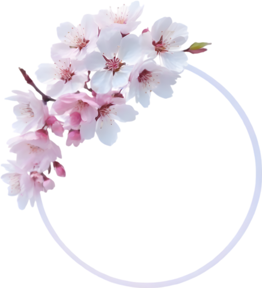AI generated Watercolor painting of Cherry blossom Floral frame. png