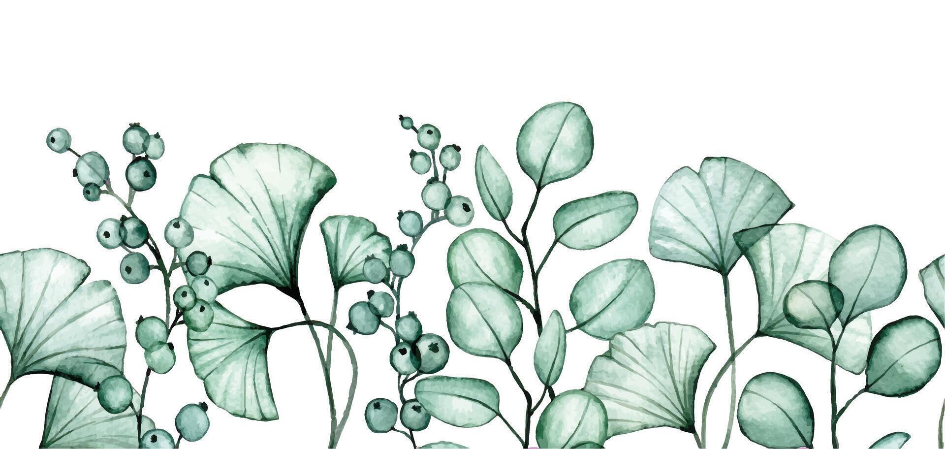 watercolor drawing. seamless border with transparent eucalyptus and ginkgo leaves. x-ray vector