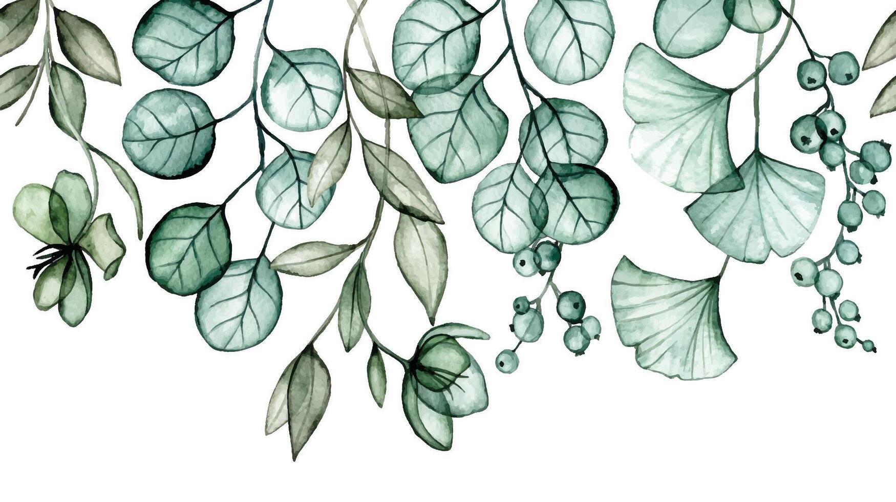 watercolor drawing. seamless border with transparent eucalyptus and ginkgo leaves. x-ray vector