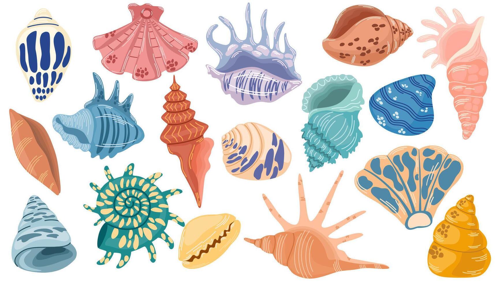 Sea shells set, mollusks, starfish. Seashells collection. Vector hand draw illustration isolated on white for stickers.