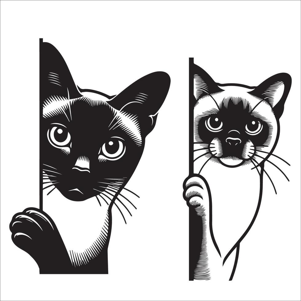 ai generado echar un vistazo birmano gato ilustración en negro y blanco vector