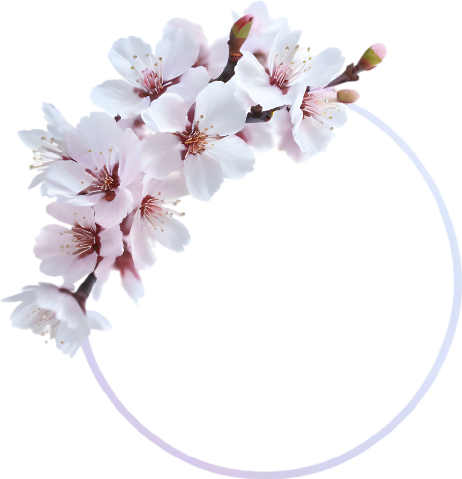 AI generated Watercolor painting of Cherry blossom Floral frame. png