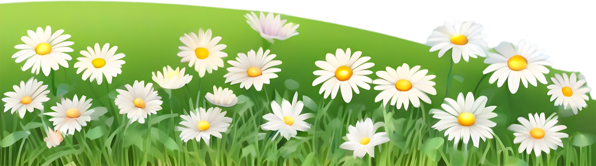 AI generated Wildflower field, Clipart of colorful spring wildflowers field. png