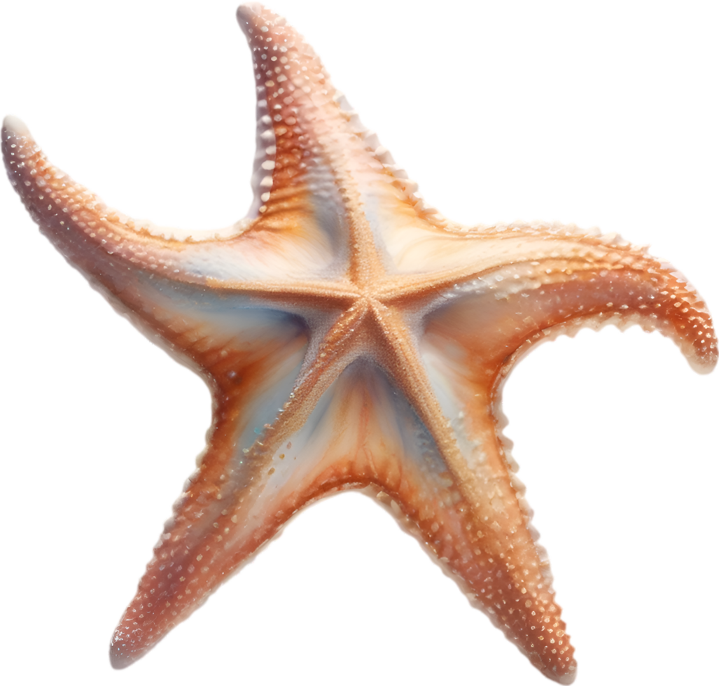 AI generated Starfish, a Watercolor painting of a starfish. png