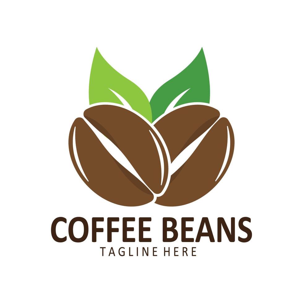 coffee  coffee beans  coffee shop  fruit  seeds  drink  design vector