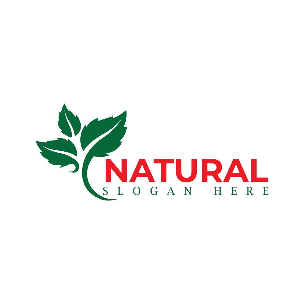 Natural, eco food, green leaf seedling, growing plant logo design vector template. Natural logos with leaves