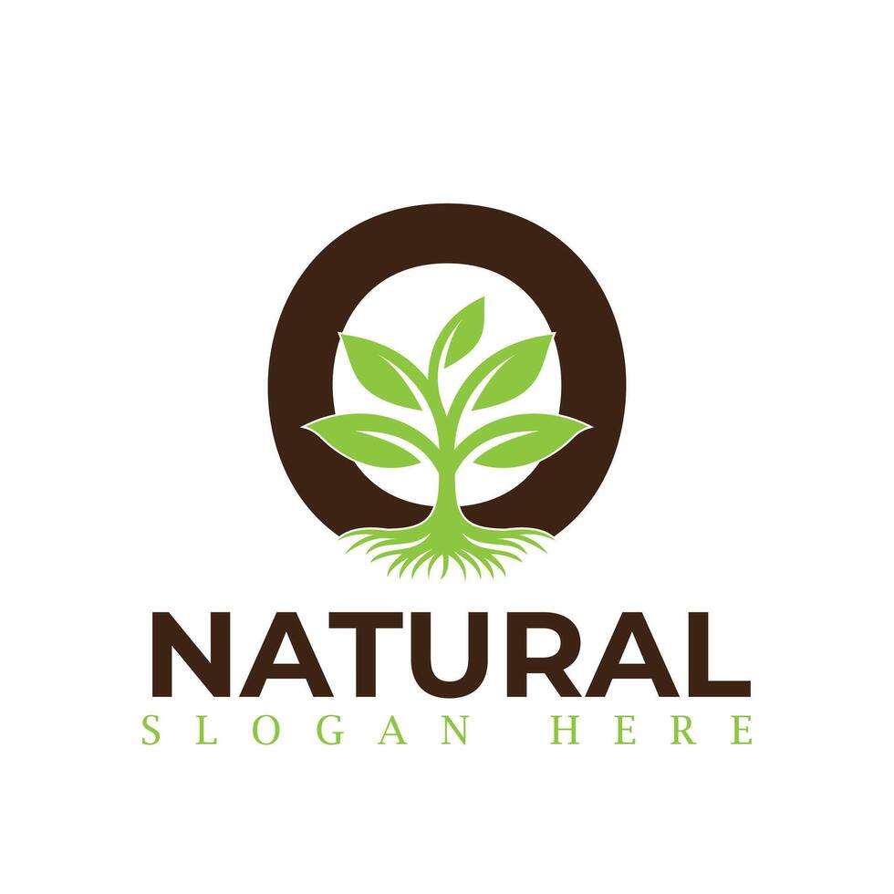 Natural, eco food, green leaf seedling, growing plant logo design vector template. Natural logos with leaves
