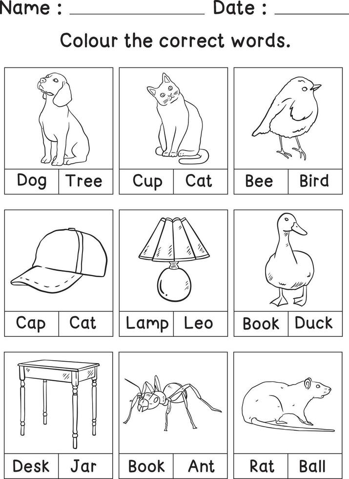 Color the worksheet and choose the correct answer. vector