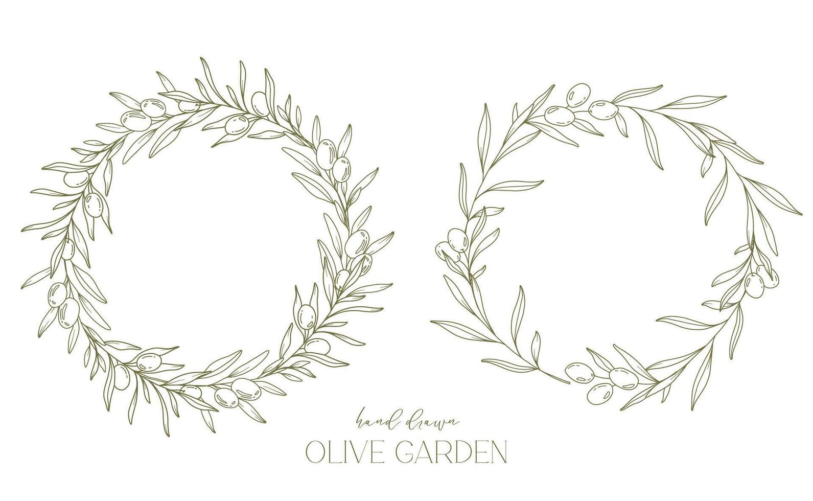 Olives Line Drawing. Black and white Olive Frame. Olive Wreath Isolated. Floral Line Art. Fine Line Olive  illustration. Black and white Olive Branches. Hand Drawn Olive. Wedding invitation greenery vector