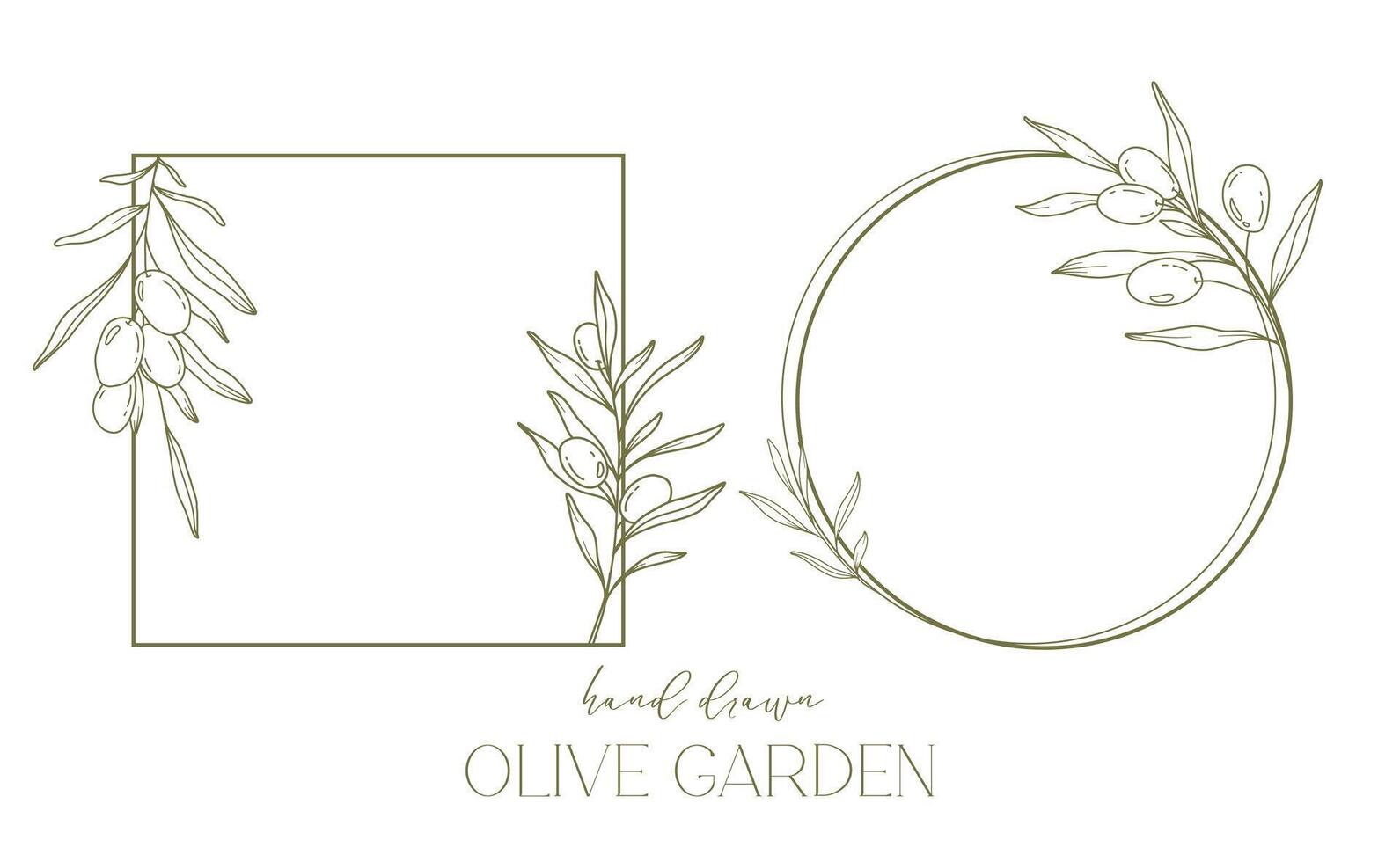 Olives Line Drawing. Black and white Olive Frame. Olive Wreath Isolated. Floral Line Art. Fine Line Olive  illustration. Black and white Olive Branches. Hand Drawn Olive. Wedding invitation greenery vector