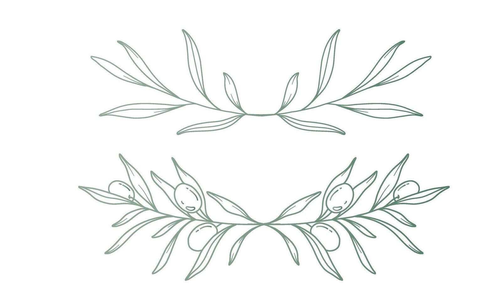 Olive branch on white background vector illustration. Olives Line Drawing. Black and white Olive Branches. Floral Line Art. Fine Line Olives illustration. Hand Drawn Olive. Wedding invitation greenery