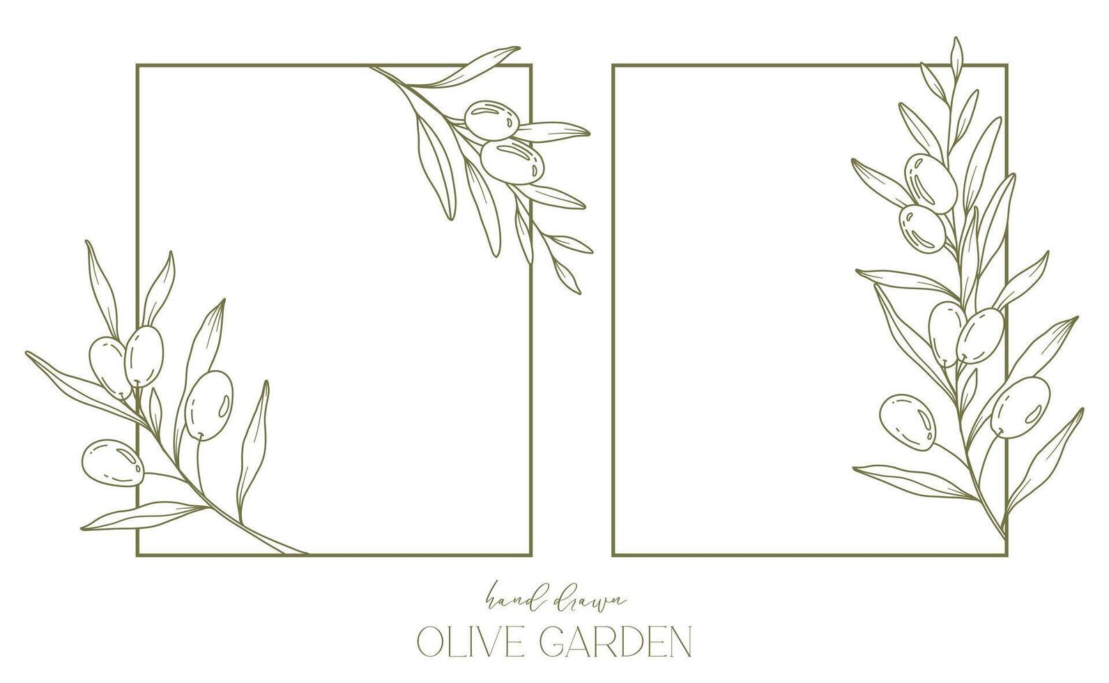 Olives Line Drawing. Black and white Olive Frame. Olive Wreath Isolated. Floral Line Art. Fine Line Olive  illustration. Black and white Olive Branches. Hand Drawn Olive. Wedding invitation greenery vector