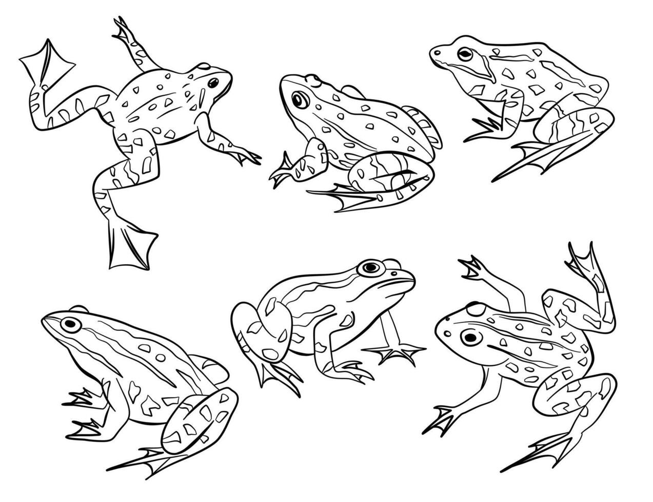 Frog outline poses illustration vector collection