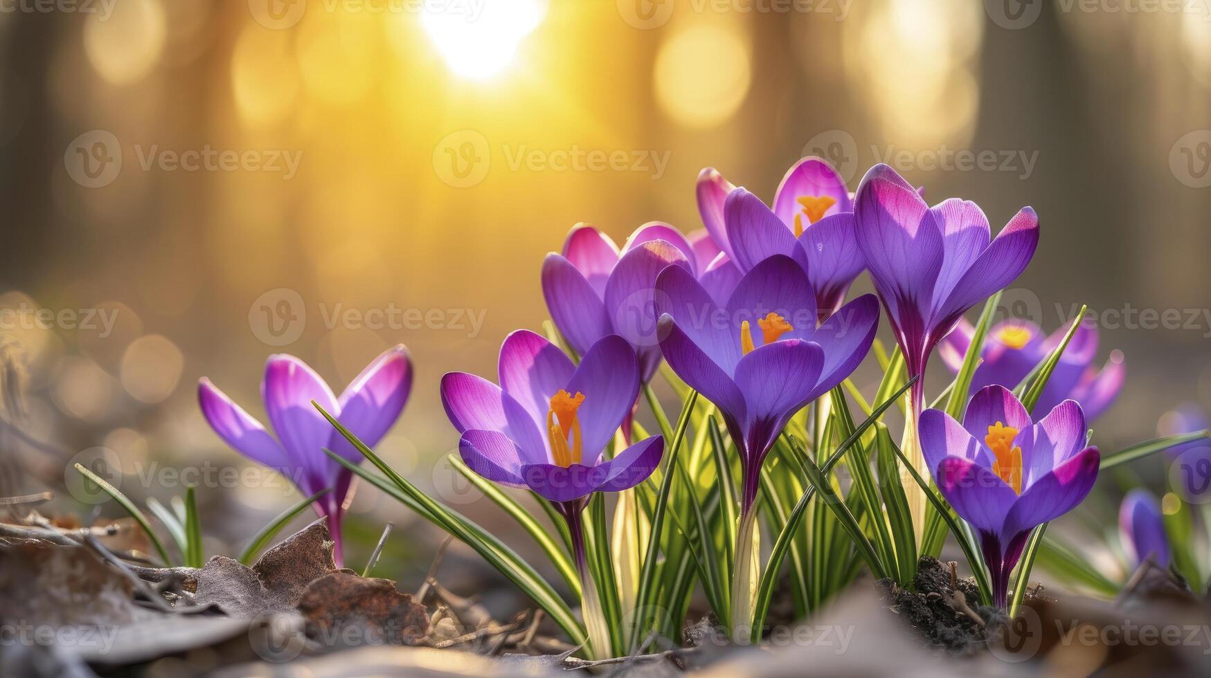 ai generado un pintoresco escena de un primavera campo adornado con floreciente púrpura azafrán flores, creando un maravilloso monitor de natural belleza. foto