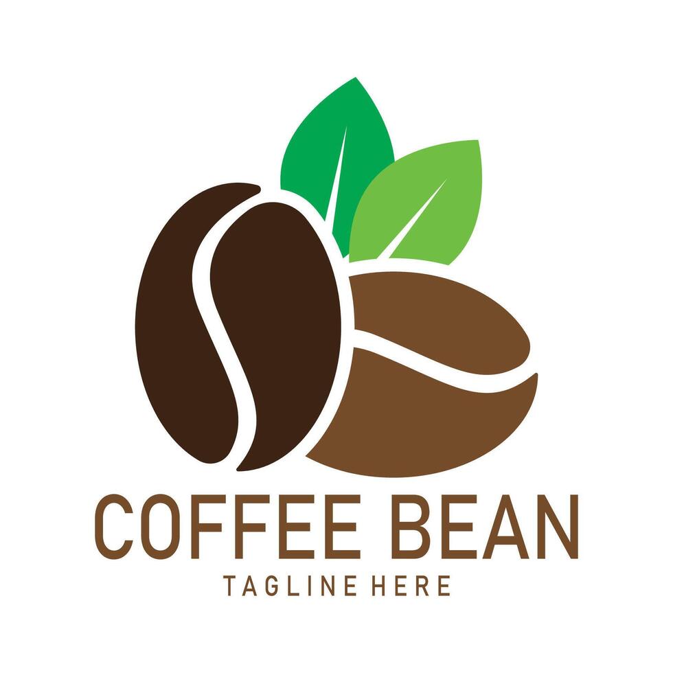 coffee  coffee beans  coffee shop  fruit  seeds  drink  design vector