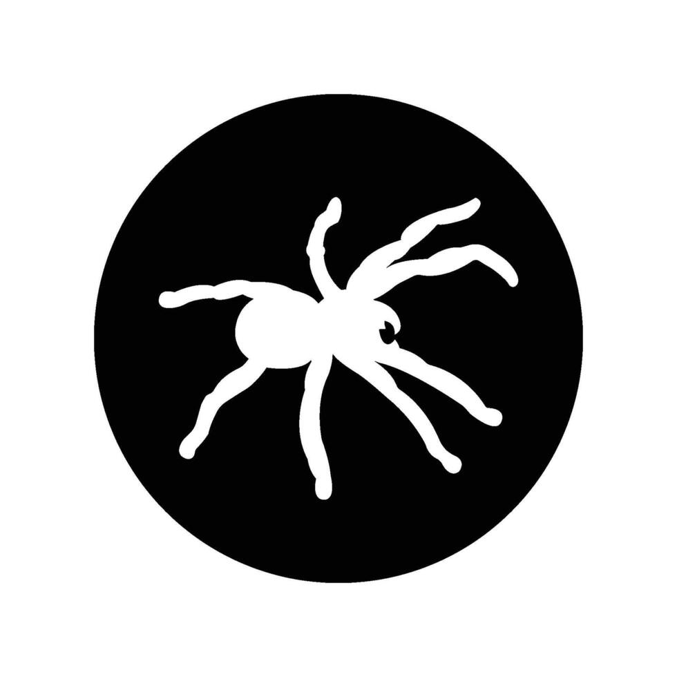 Tarantula icon vector