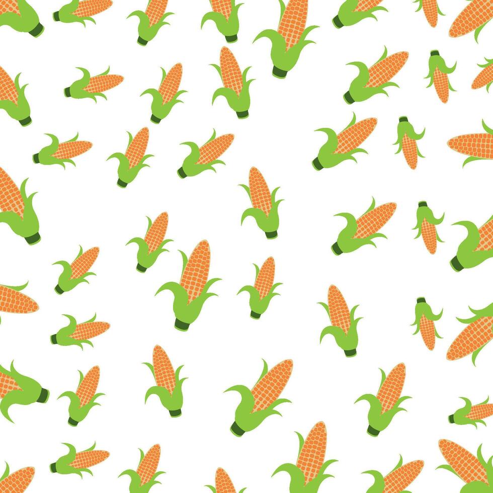 vector Corn background