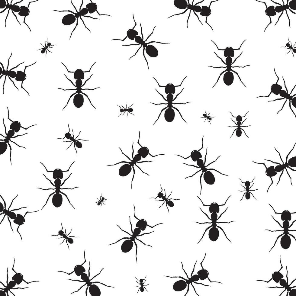 Ant vector background