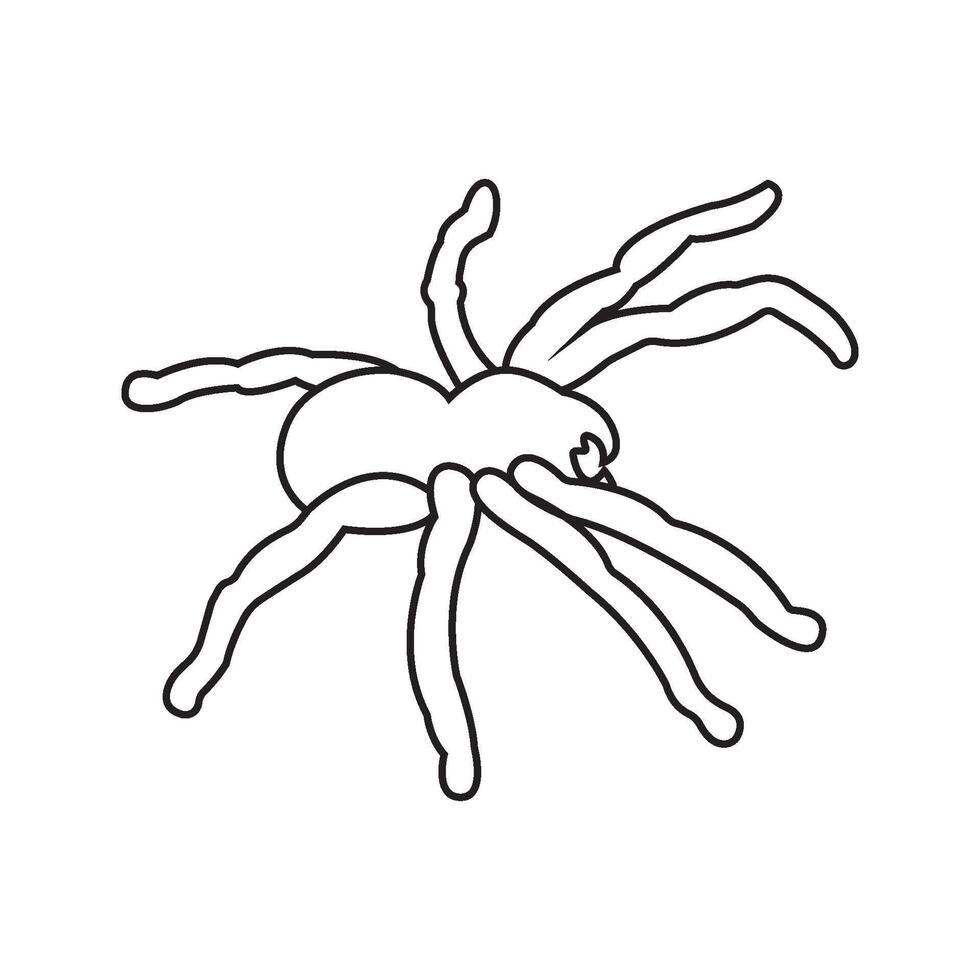 Tarantula icon vector