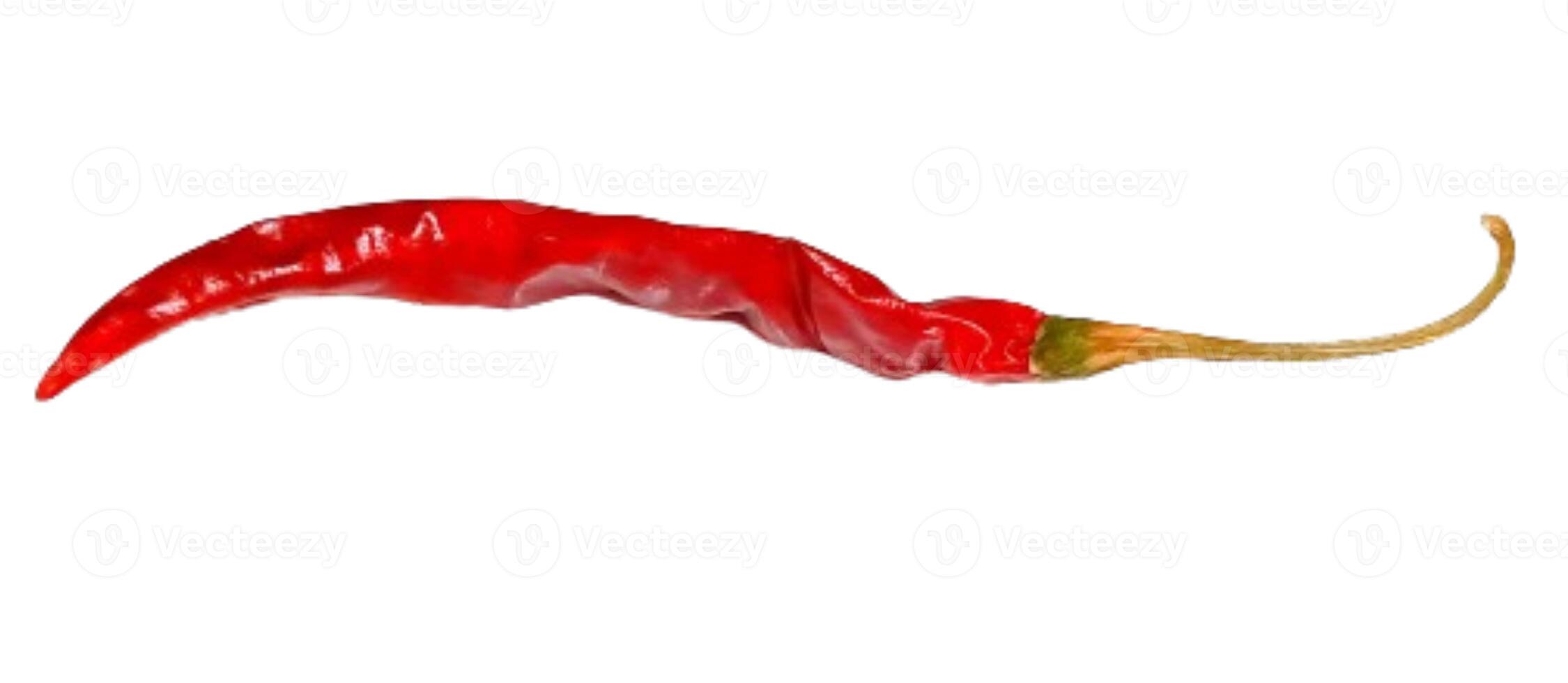 Dry red pepper isolated on white background photo