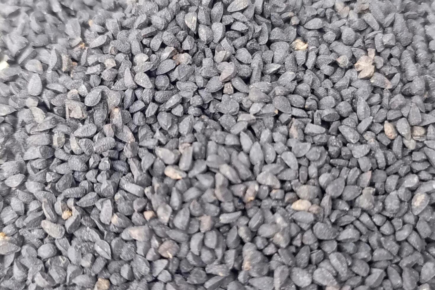 Black cumin seeds background texture photo
