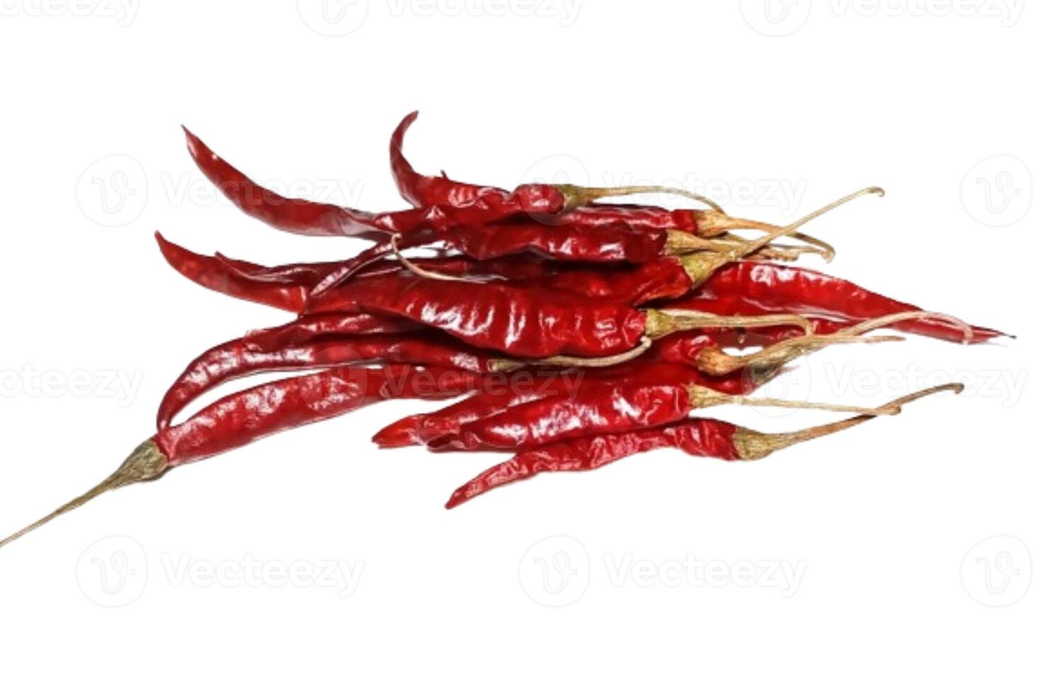 Dry red pepper isolated on white background photo