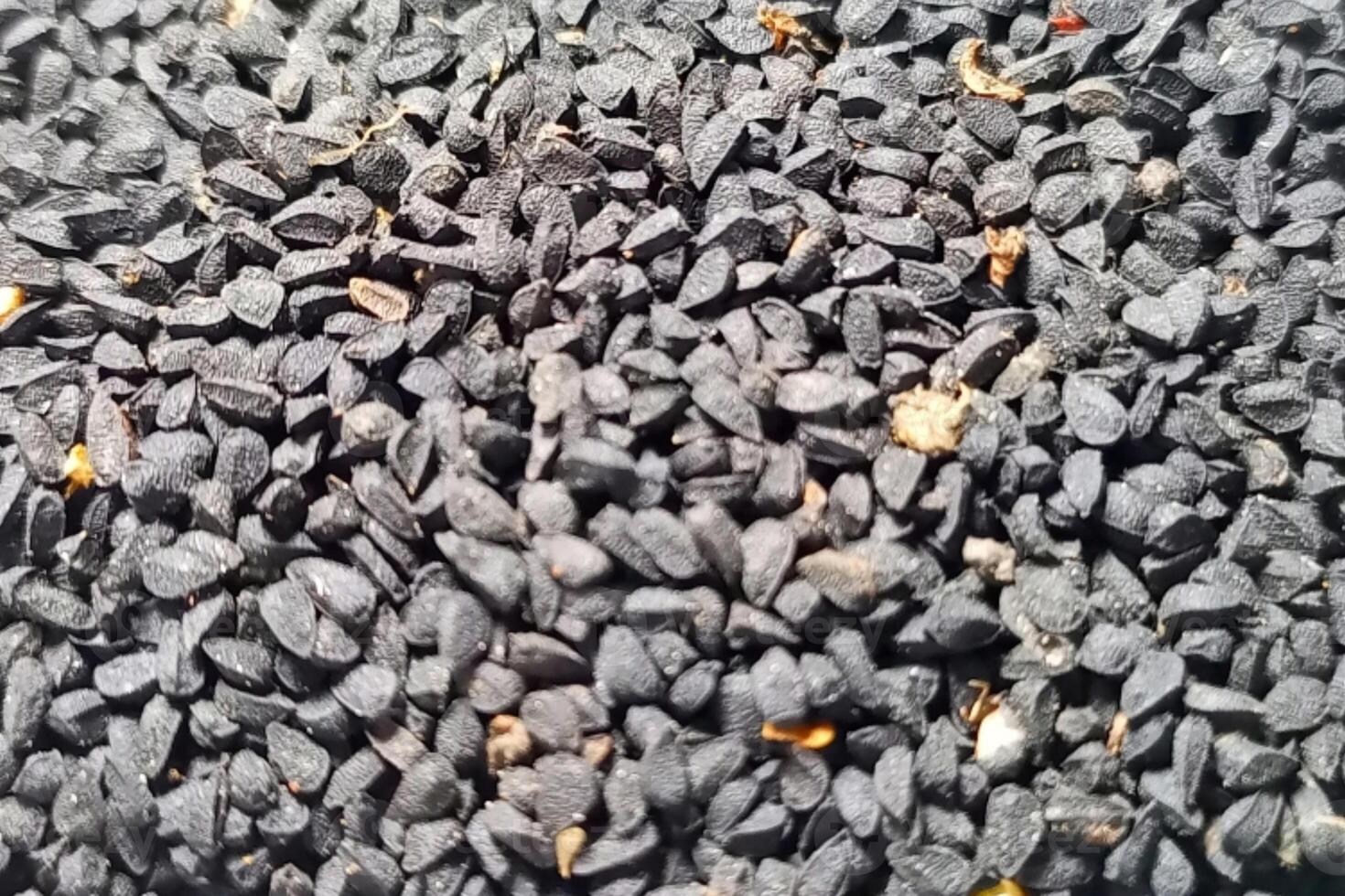 Black cumin seeds background texture photo