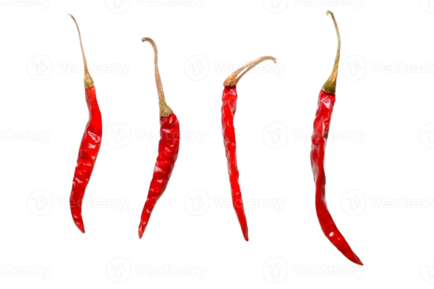 Dry red pepper isolated on white background photo