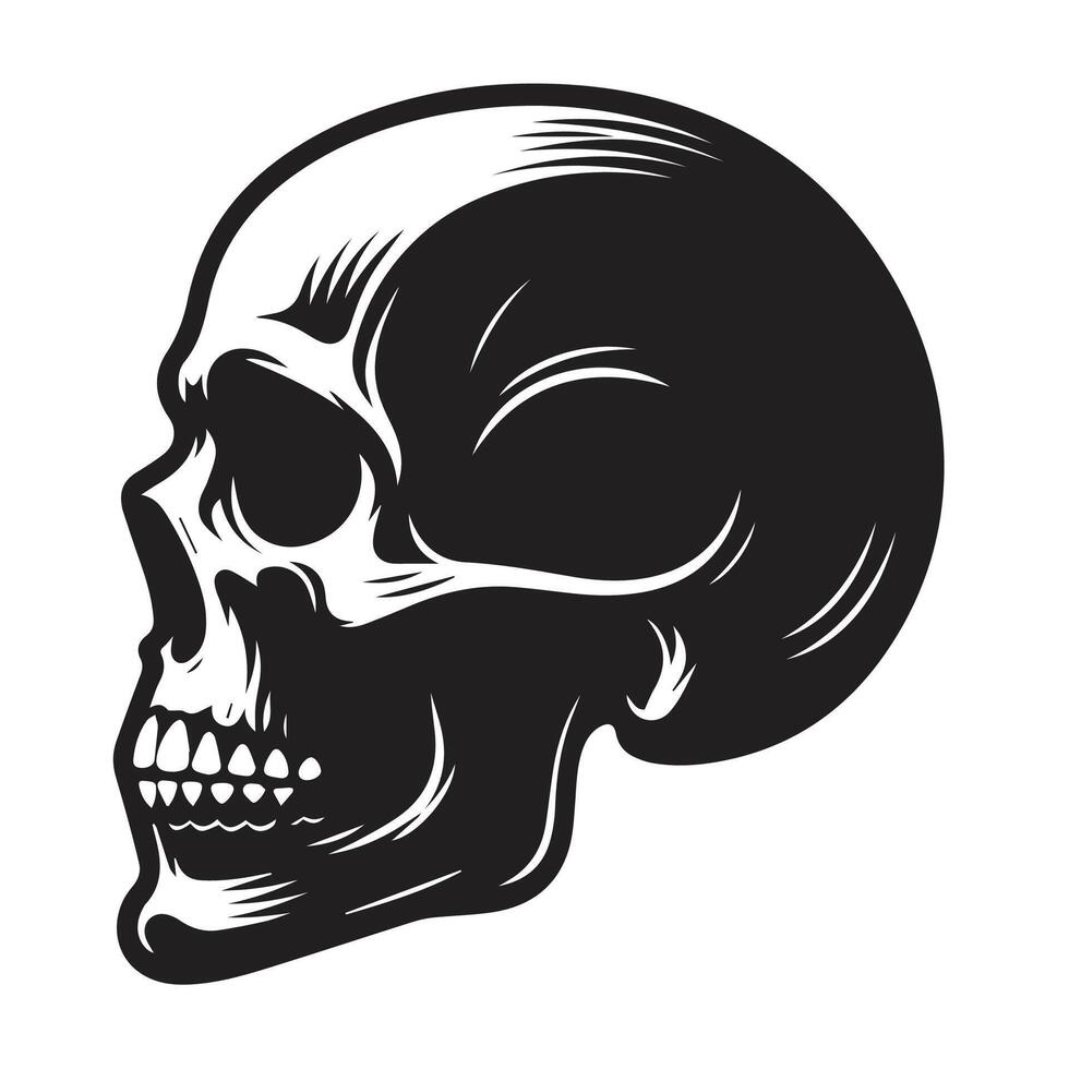 Skull Vector Icon. Black and white human skull