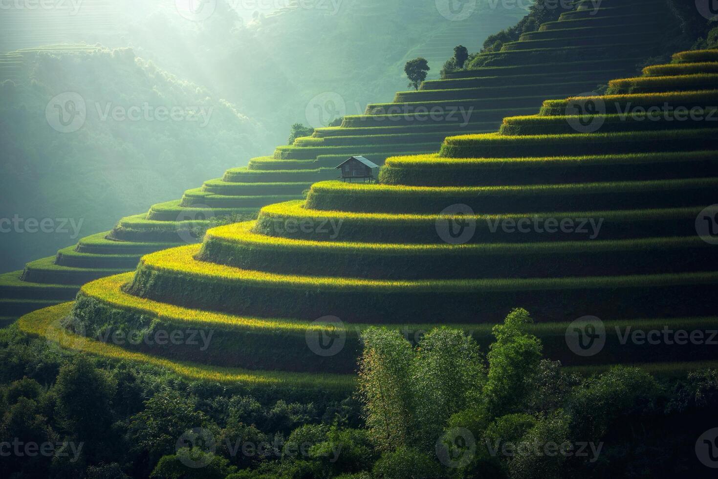 Rice fields on terraced of Mu Cang Chai, YenBai, Vietnam photo