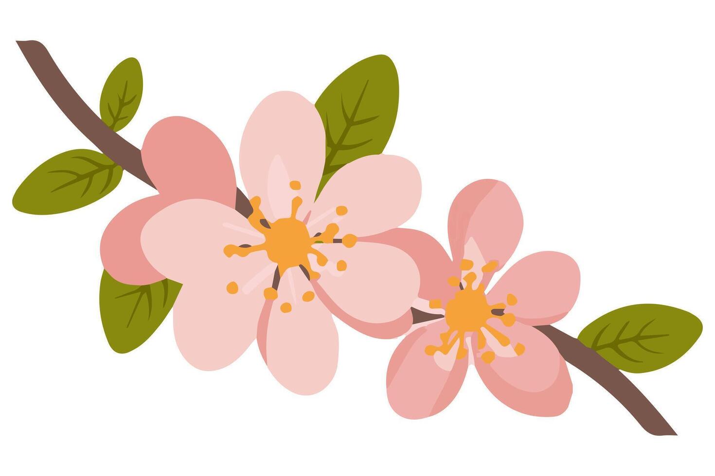 A branch with pink flowers on a white background. The concept of spring and blossoming. vector