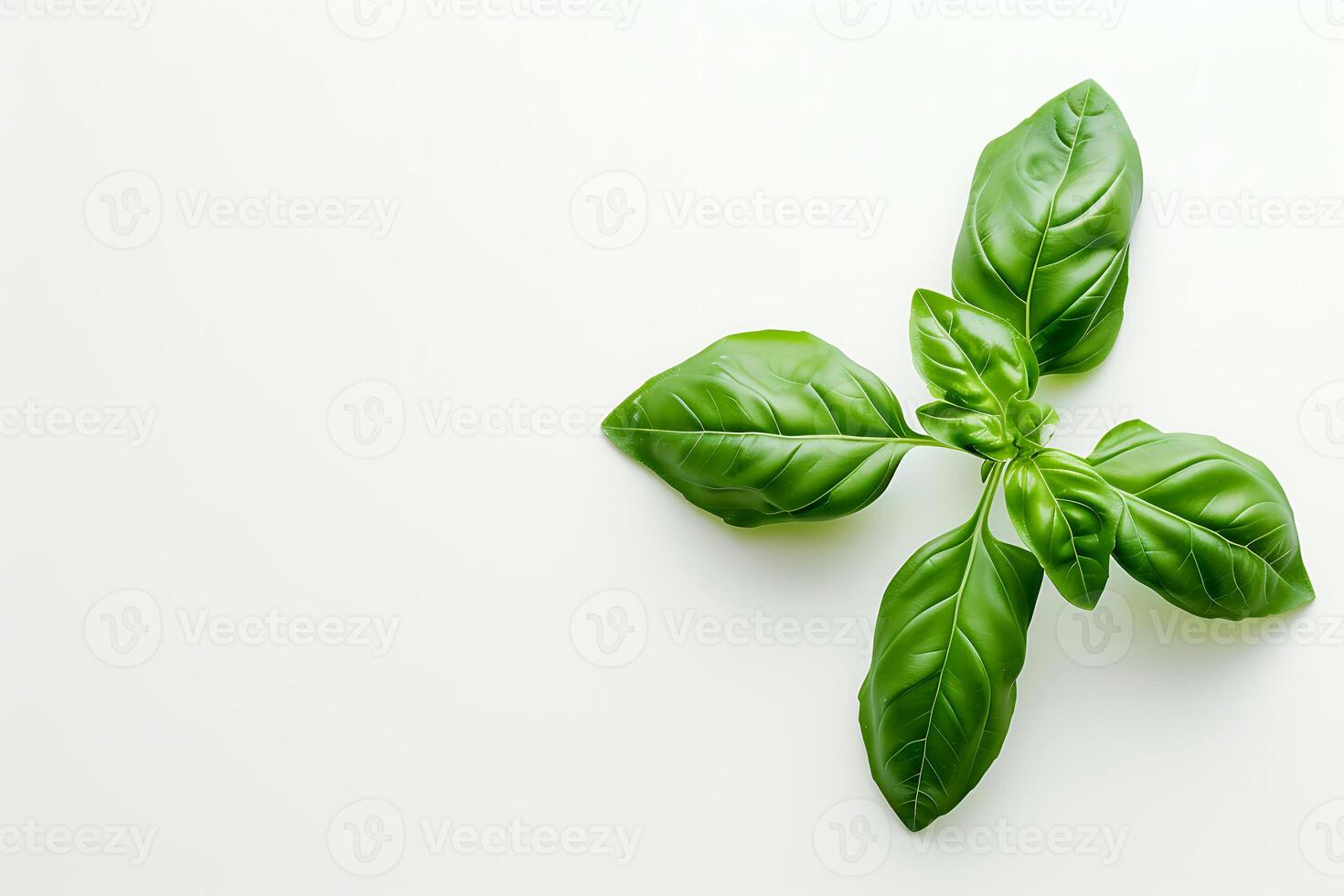 AI generated Fresh Basil Leaves on White Background photo