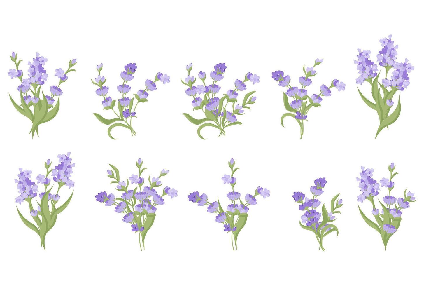 conjunto de ramos de flores de lavanda flores vector ilustración aislado en blanco antecedentes.