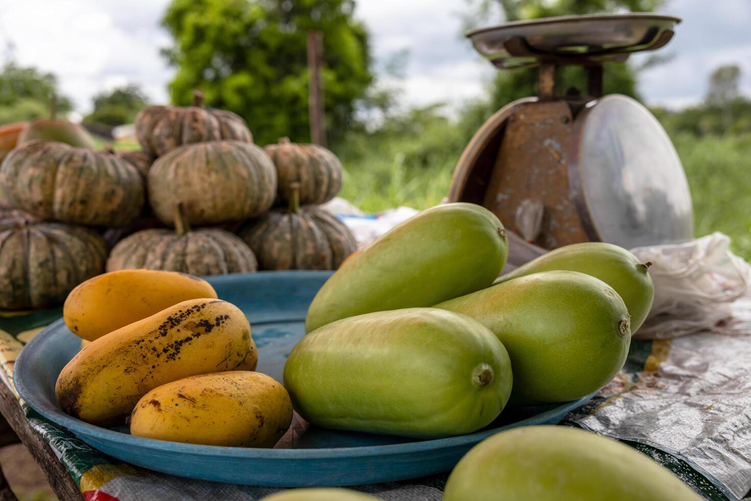 Close-up view of yellow mangoes and green squash on trays. photo