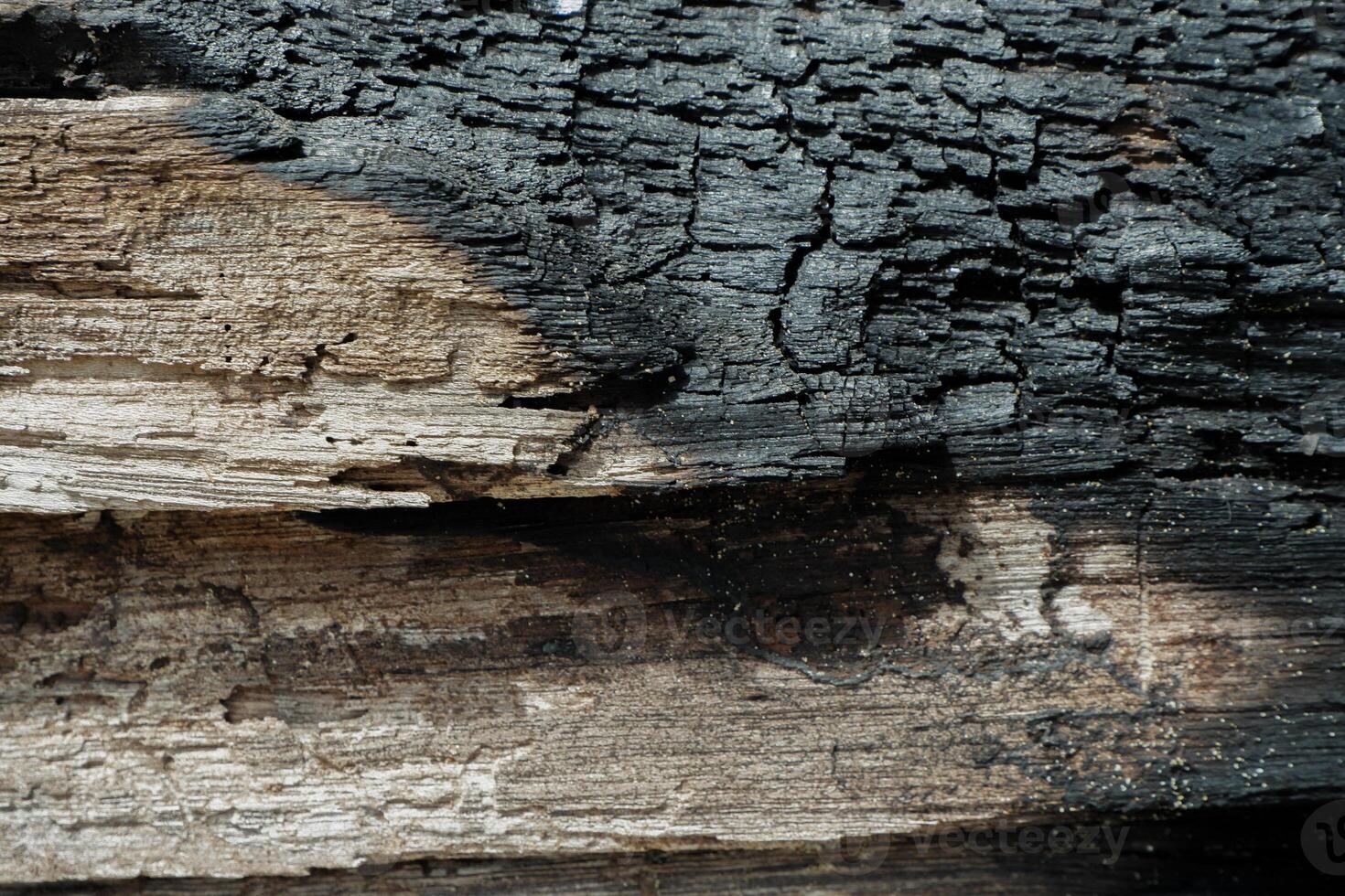 wood texture background burning and turning into wood charcoal. photo concept for forest burning, illegal logging causing climate change