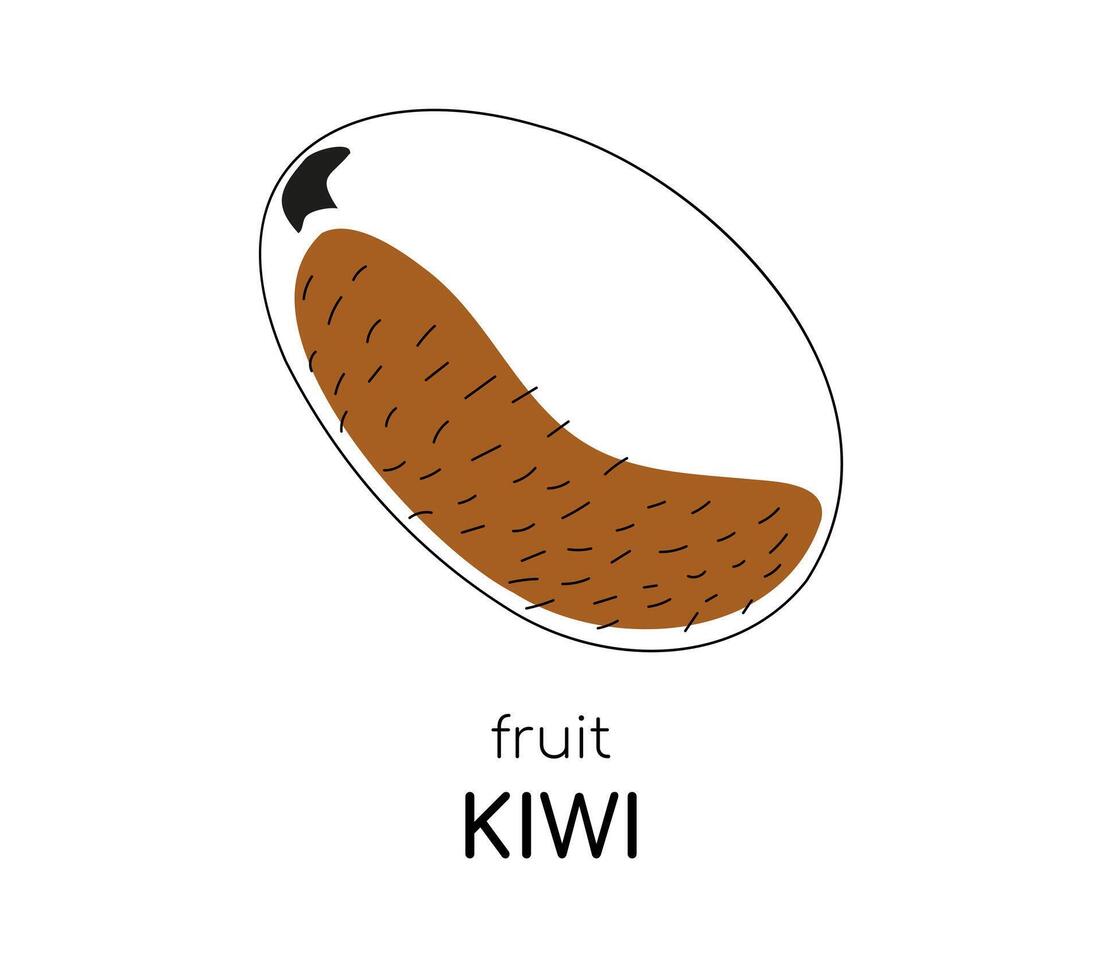 contorno kiwi con un marrón Mancha de color. exótico o tropical fruta. tarjeta para aprendizaje el palabra kiwi. póster o tarjeta postal. aislado objeto. vector ilustración
