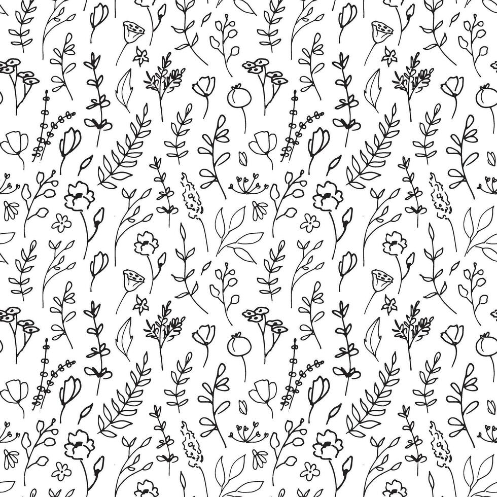 Plant seamless Pattern. Linear Vector illustration with herbs in doodle style painted by black inks on white isolated background. Floral backdrop for wrapping paper or textile design