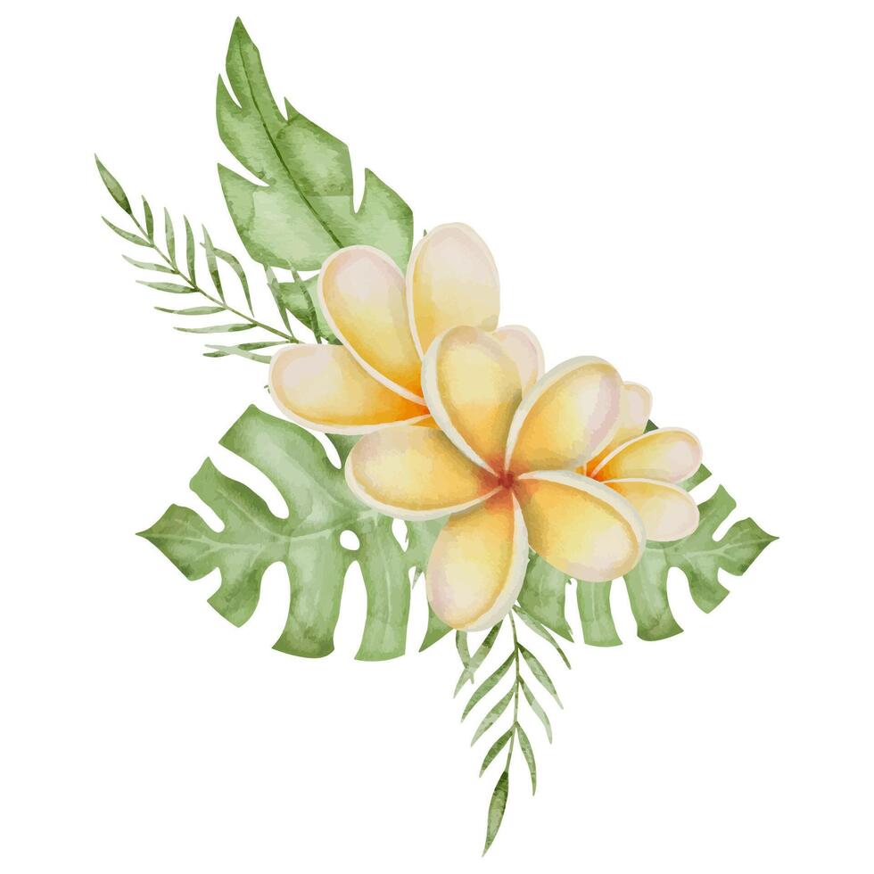 plumeria flor ramo de flores acuarela acortar Arte. mano dibujado en aislado antecedentes. botánico impresión de frangipani dibujo de hojas y floreciente planta. tropical naturaleza cuadro. para logos y pegatinas vector