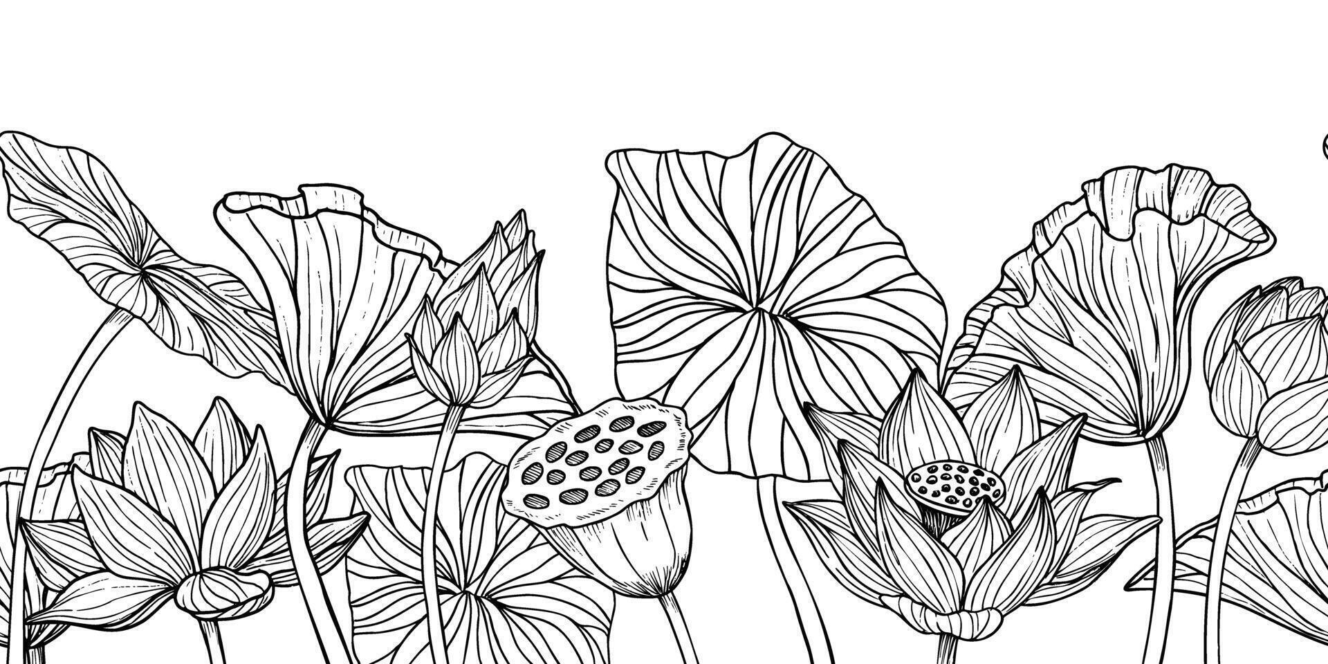 Lotus Flower seamless Border. Hand drawn vector illustration of waterlily plants on isolated background. Floral pattern for frame or spa Zen banner. Drawing in black and white colors