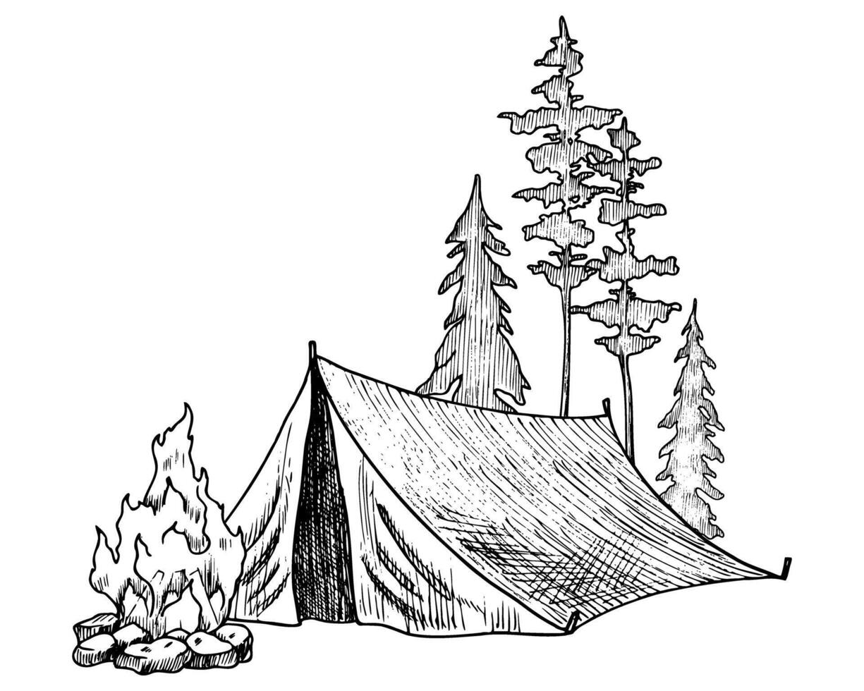 Camp Tent and fire in a Forest. Vector illustration of camping, fireplace and trees in line art style. Etching of woodland landscape painted by black inks. Engraving for travel icon or logo