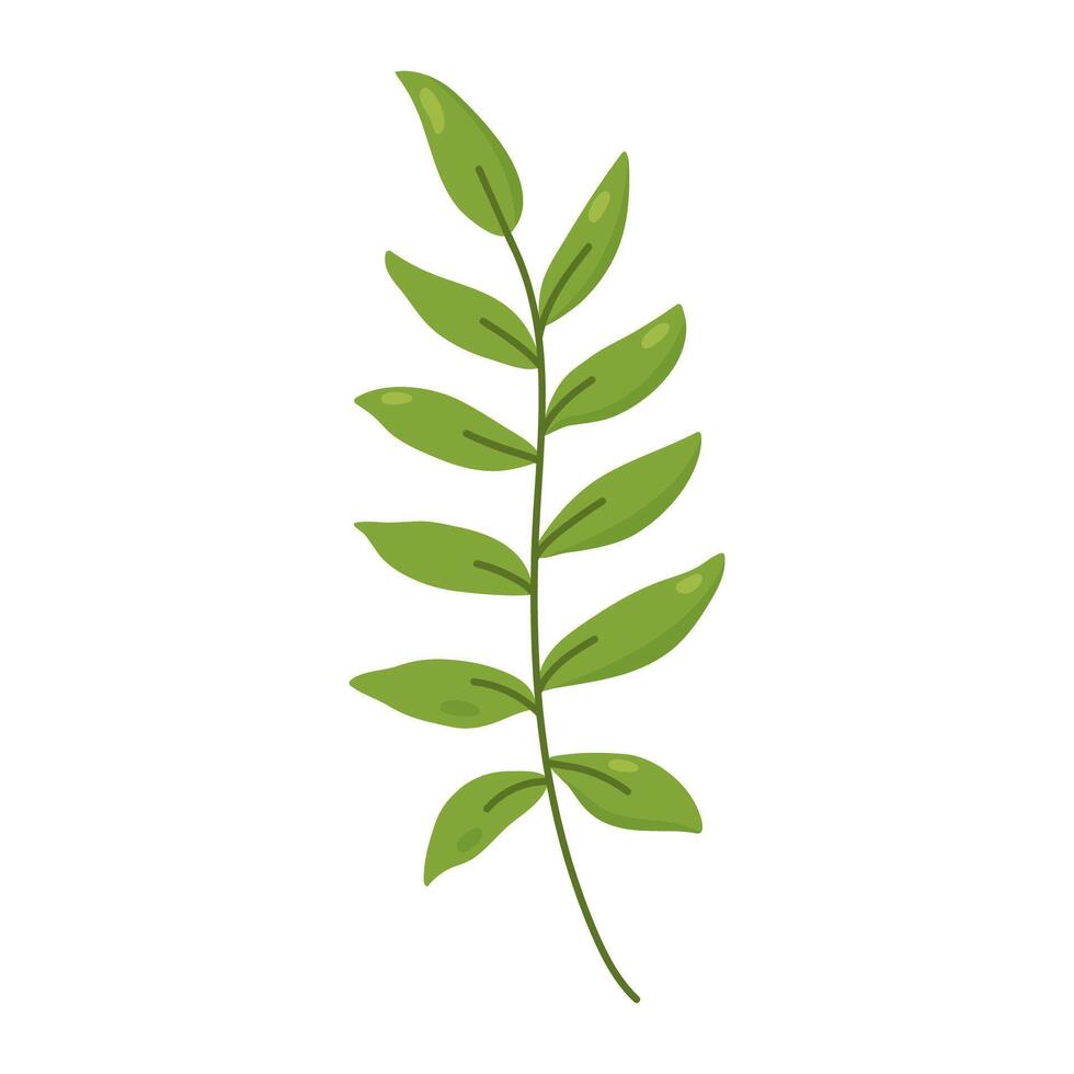 Tropical leaf isolated on white background. Vector hand-drawn illustration. Perfect for logo, cards, decorations, various designs. Botanical clipart.