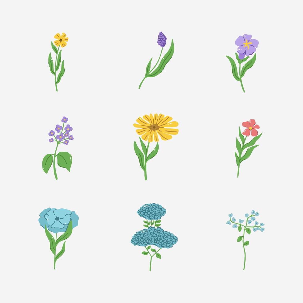 Flower hand drawn vector illustration