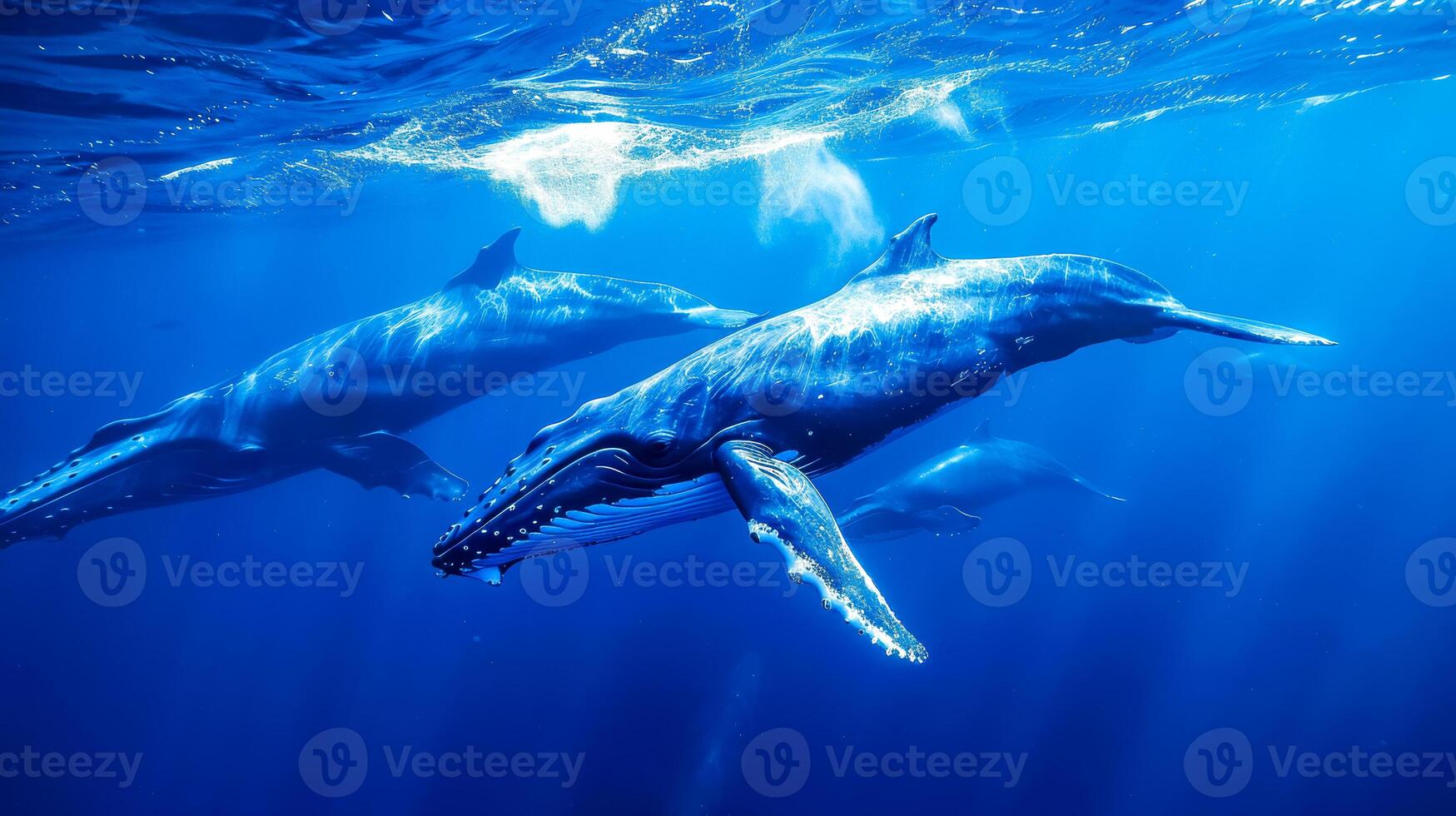 AI Generated Majestic whales swimming with dolphins underwater photo