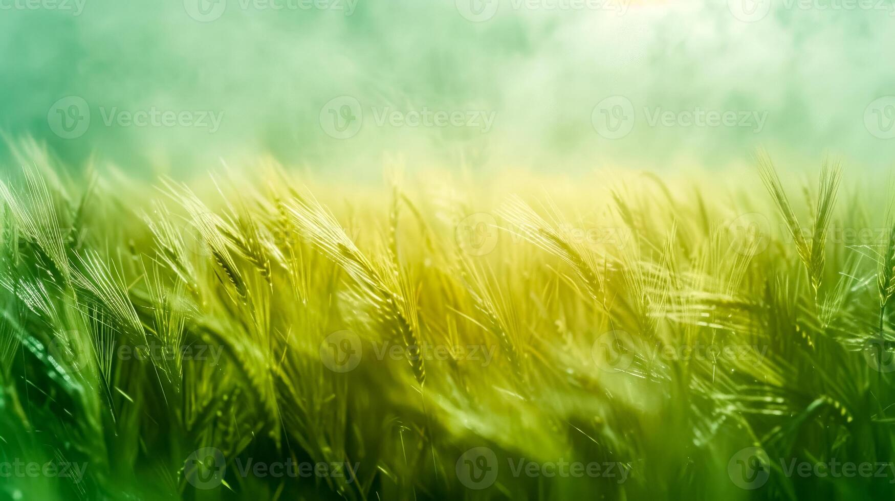 AI Generated Golden wheat field at sunrise photo