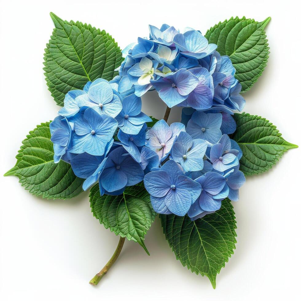 AI generated Bouquet of Blue Flowers With Green Leaves photo