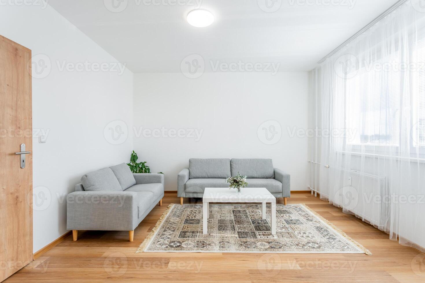 Modern living room interior with natural light photo