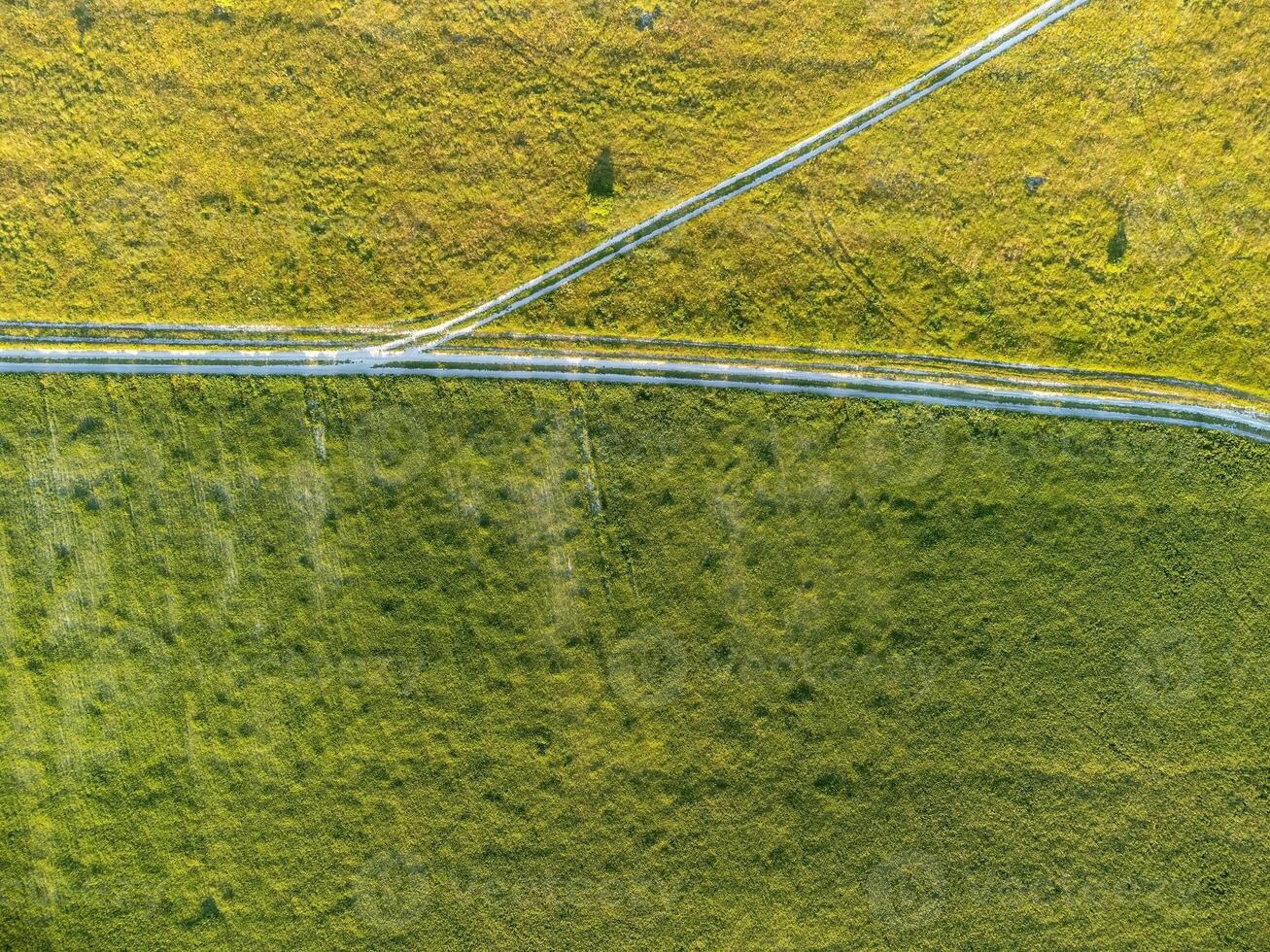 aéreo ver en verde trigo campo y la carretera en campo. campo de trigo soplo en el viento en puesta de sol. joven y verde espiguillas orejas de cebada cosecha en naturaleza. agronomía, industria y comida producción foto